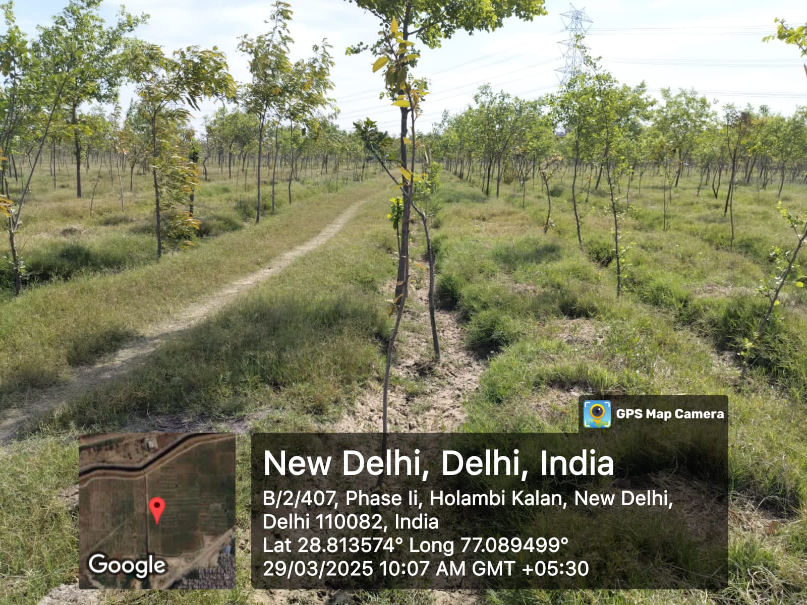 Compensatory Afforestation